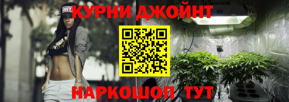 Бошки марихуана планчик  МАРИХУАНА OG Kush  Скопин  Вход с VPN 